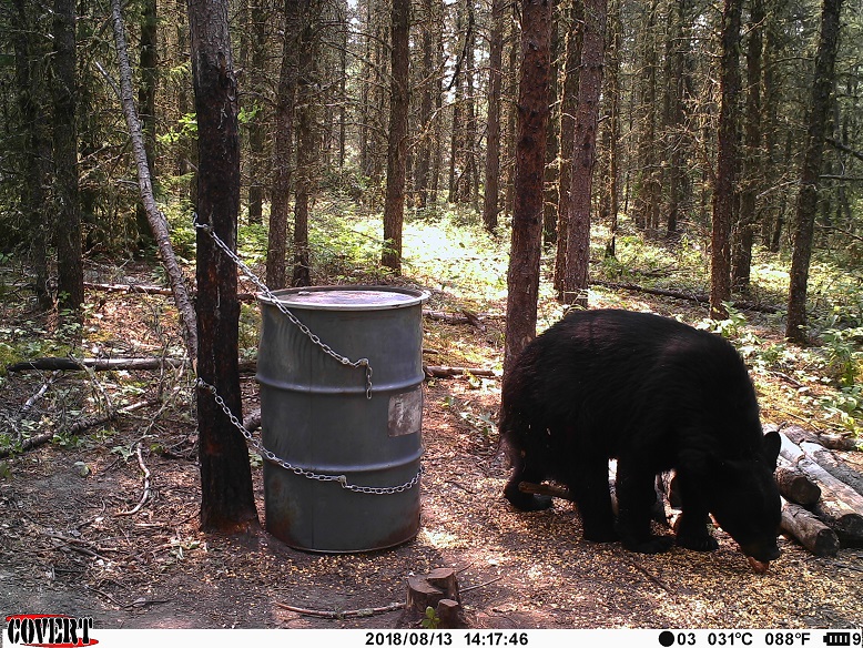 How to Remove Bear Baits from Public Lands